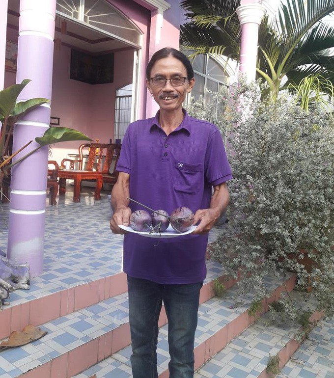 Dưa Pepino màu tím sẽ được bán với giá 300.000 đồng/kg