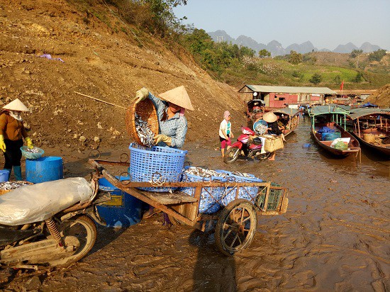 
Tại bản Pá Uôn có chợ cá lớn nhất huyện Quỳnh Nhai. Sáng sớm các hộ gia đình ra chợ thu mua cá của các chủ thuyền đánh bắt mang về chế biến làm cá khô.
