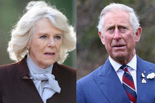 Bà Camilla và Thái tử Charles bị đồn có con riêng.