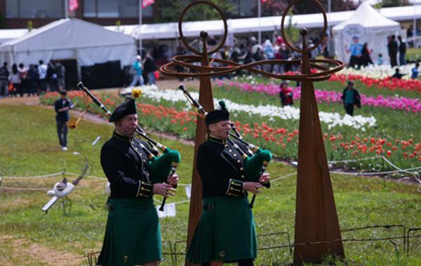 
Lễ hội ở nông trại Tesselaar cứ mỗi tuần mang một chủ đề khác nhau giới thiệu nét văn hóa truyền thống và đặc trưng của mỗi dân tộc. Trong ảnh là hai tay kèn Irish Pipers là Rod và Tracey biểu diễn vòng quanh các luống hoa tulip trong “Tuần lễ Ireland”.
