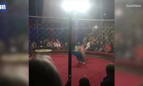 Cảnh bé gái bị hổ vồ.