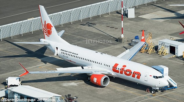 
Máy bay của hãng hàng không Lion Air.
