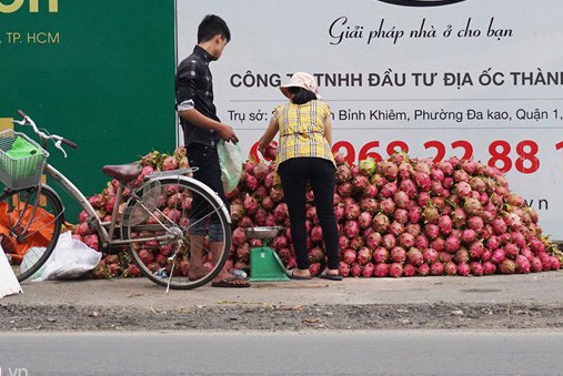 
Một điểm bán thanh long trên lề đường tại quận Gò Vấp. Ảnh: Việt Đức.
