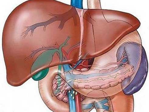 
Trường hợp bệnh nhân N.V.H (43 tuổi, Hà Nội) được đưa vào viện trong tình trạng suy gan nặng.
