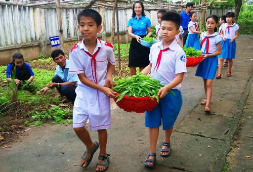 Học sinh Trường tiểu học Nghĩa Chánh, TP Quảng Ngãi thu hoạch rau. Ảnh: Thạch Thảo.