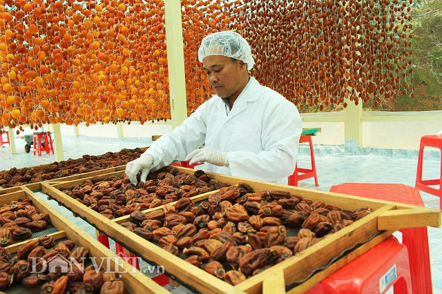 Anh Long bên mẻ hồng treo mới tháo dây của mình. Ảnh: Văn Long.