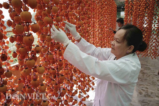 Bà Vân bên hệ thống treo hồng của gia đình mình. Ảnh: Văn Long.