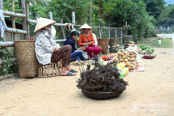 
Mạc khén (tiêu rừng) được bày bán ở các tuyến đường vùng cao Nghệ An. Ảnh: Đào Thọ
