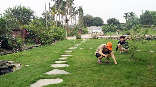 Năm đầu tiên, chị Tâm và người chồng Hàn Quốc đã hoàn thiện thiết kế, thi công cơ bản các hạng mục sân vườn, nhà ở, bao gồm san lấp, tôn mặt bằng, sân, lối đi, đường dạo... Các năm sau hoàn thiện dần, trồng thêm nhiều cây hoa, quả...