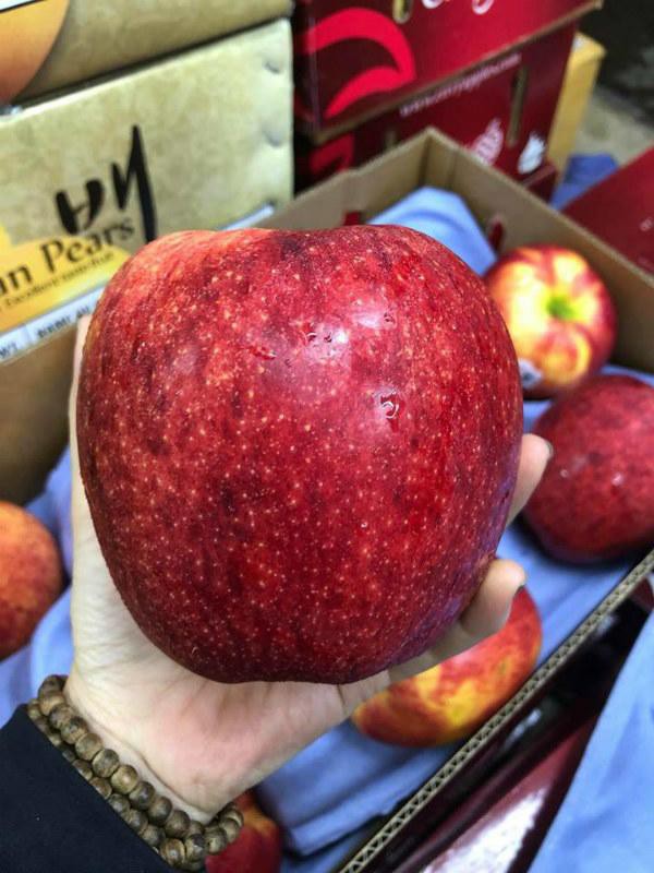 
Một quả táo Envy Mỹ to nặng đến 600 gram, có giá hơn 1 trăm nghìn đồng.
