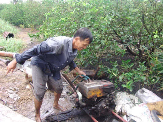 
Anh Phạm Ph&uacute; Cường (ấp 6A) d&ugrave; đ&atilde; d&ugrave;ng đến 3 m&aacute;y bơm th&aacute;o nước nhưng đến s&aacute;ng vườn chanh vẫn ngập.
