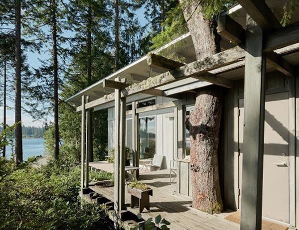 
Thiết kế thân thiện với thiên nhiên cho phép các cây có thể mọc xuyên qua nhà
