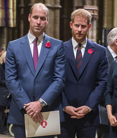 Hoàng tử William và Hoàng tử Harry trong một sự kiện tưởng niệm hồi đầu tháng này. Ảnh: AFP.