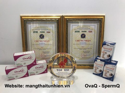 Thực phẩm bảo vệ sức khỏe SpermQ đạt TOP 100 sản phẩm, dịch vụ tốt nhất cho gia đ&igrave;nh trẻ em năm 2018.