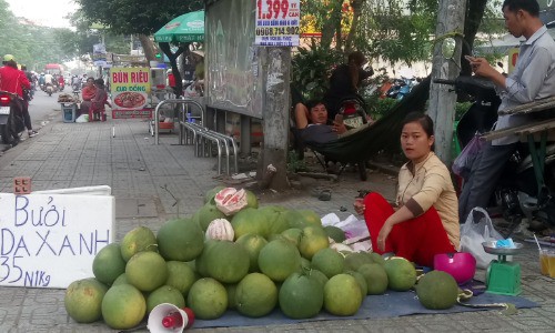 
Bưởi da xanh giảm giá mạnh so với mọi năm. Ảnh: Hồng Châu.
