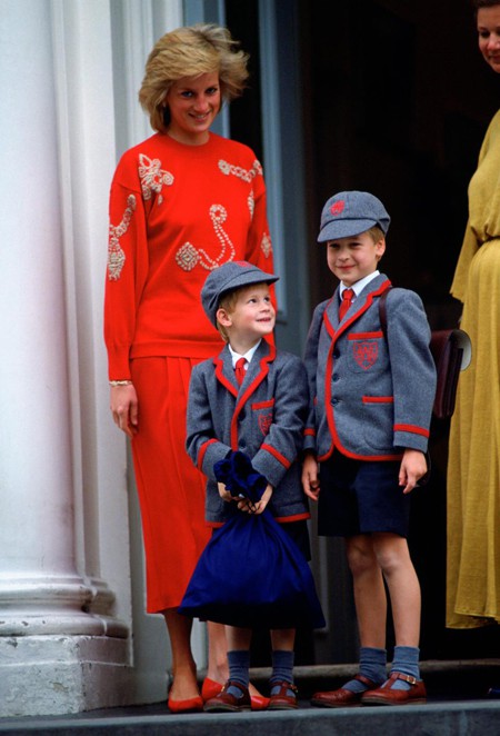 Bà Diana cho hai con trai theo học tại trường công và luôn muốn tự tay chăm sóc cho hai hoàng tử. Ảnh: Express.
