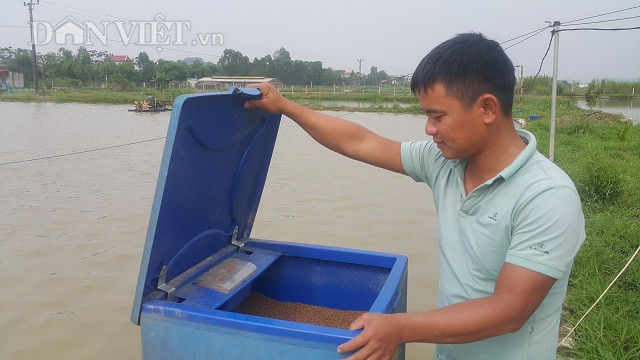 
Chuyên viên ngân hàng Hoàng Thanh Liêm (34 tuổi) bỏ phố về quê nuôi cá.
