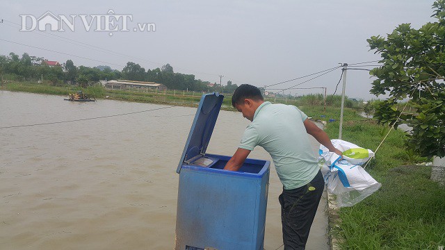 
Anh Hoàng Văn Liêm đang đi kiểm tra lượng cám còn trong máy và hẹn giờ để cho cá ăn tự động.
