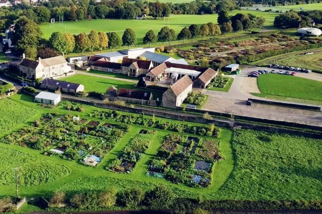 Toàn cảnh không gian sau khi cải tạo.