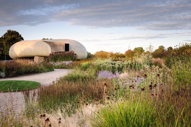 Đây là nơi vợ chồng Iwan và Manuela trồng nhiều loại cây khác nhau.