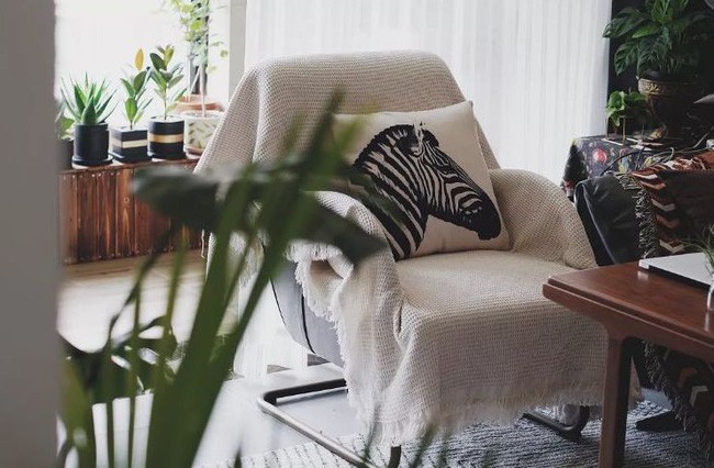 Ánh sáng từ cửa sổ là điều kiện tuyệt vời nhất để những chậu cây được cô gái đặt trong nhà thêm sức sống, thêm tươi tốt.