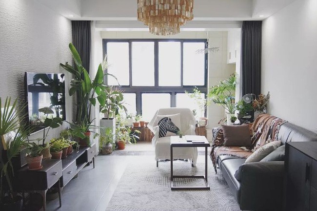 Căn phòng giản dị, thân thuộc với không khí trong lành.