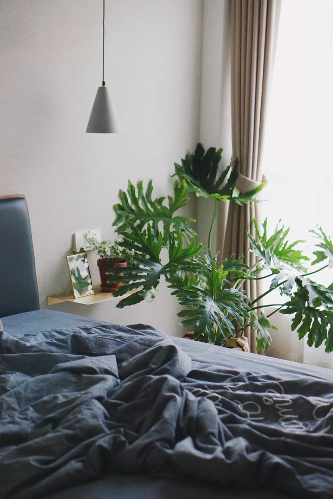 Không gian màu trung tính vẫn trở nên duyên dáng hút ánh nhìn nhờ cây xanh.