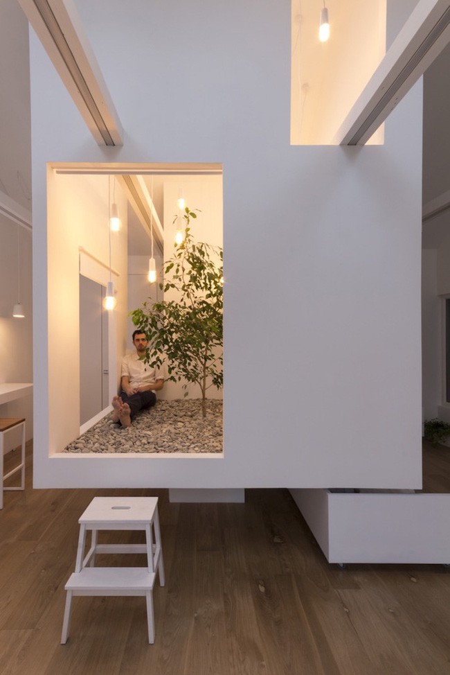 Cây xanh được chiếu ánh sáng tự nhiên bởi một giếng trời ngay phía trên nó.