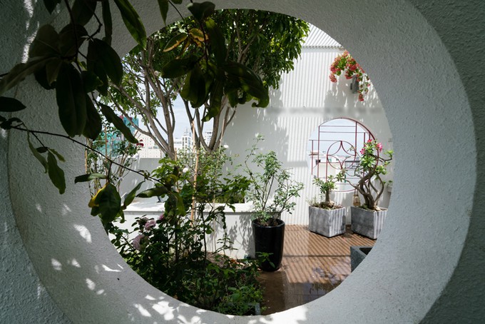 Cây xanh được bố trí trong không gian mở, đem đến bầu không khí trong lành cho gia chủ.