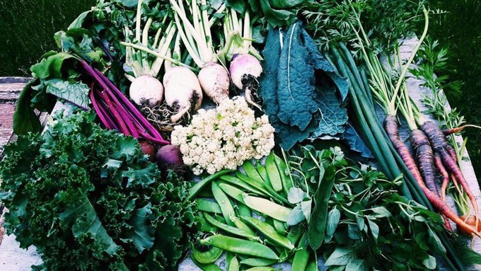 Tất cả phân bón đều được tận dụng từ rác thải trong trang trại. Đó thực sự là một vòng tròn khép kín, Nicole nói.