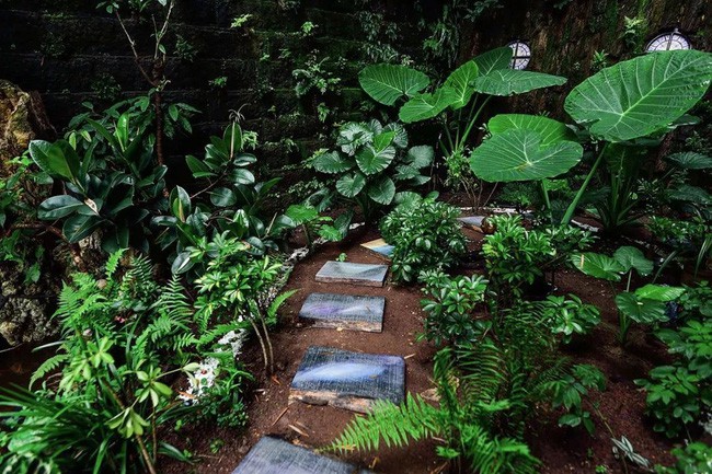 Anh đã quyết định tạm gác cuộc sống riêng tư cùng những dự định để cải tạo khu vườn cho người cha.