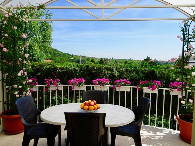 Quản lý công ty xuất nhập khẩu đồ gia dụng, chị Nhi bận rộn nhưng vẫn ưu tiên việc chăm hoa. Chị tâm sự, để có được khu vườn thiên đường này phải tốn nhiều thời gian và tâm huyết.