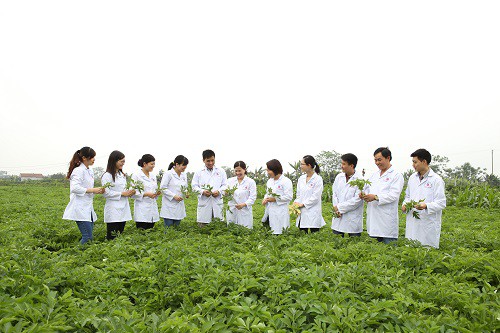 
Tổng Gi&aacute;m đốc L&ecirc; Thị B&igrave;nh hướng dẫn nh&acirc;n vi&ecirc;n lựa chọn dược liệu sạch.
