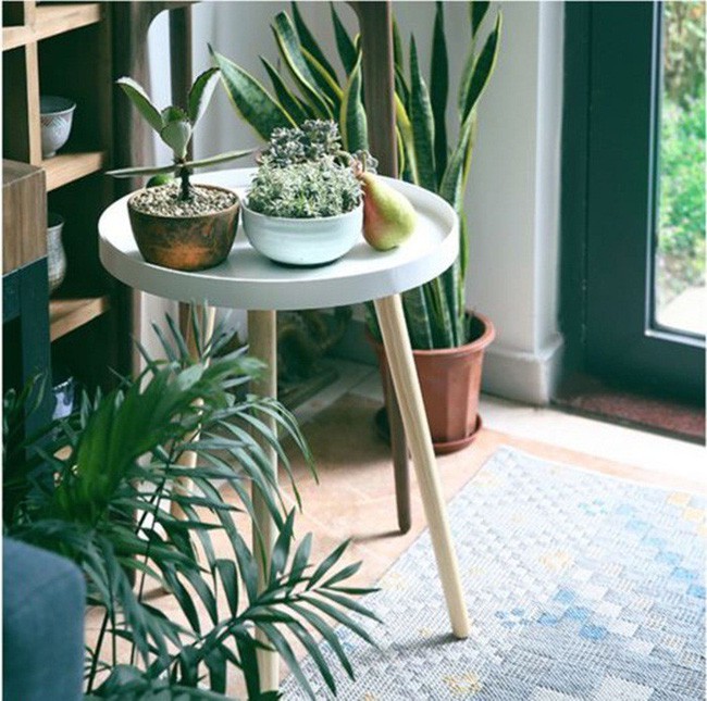 Những góc nhỏ dịu dàng.