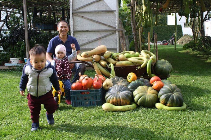 Khu vườn rộng rãi là nơi giúp ông Sáng dạy các cháu bài học yêu thiên nhiên, biết tên từng loại cây, loại rau trong vườn để có thêm yêu quê hương nguồn cội.