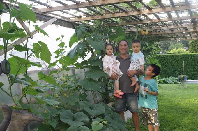 Hằng ngày hai vợ chồng ông đều dành thời gian chăm sóc vườn rau, xem như là thú vui lúc tuổi già.