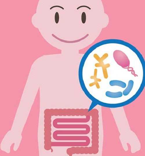 
Hệ vi sinh đường ruột của trẻ cân bằng khi lợi khuẩn chiếm trên 85%, hại khuẩn 15%
