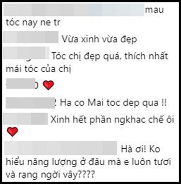 Những lời khen ngợi dành cho Hồ Ngọc Hà và mái tóc của cô.