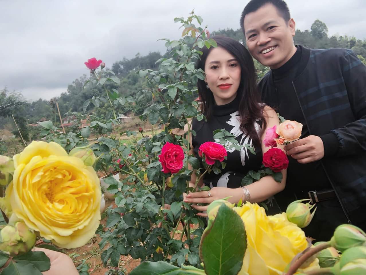 Theo chị Nguyệt, vườn hồng nhà bà có nhiều gốc hồng cổ, giá trị lên đến hàng chục triệu đồng