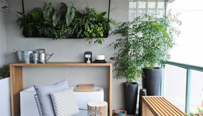 Hãy suy nghĩ về việc tạo ra một khu vườn nếu bạn yêu thích sắc xanh lá cây.