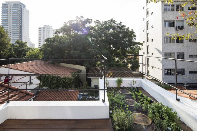 Một góc nhỏ để trồng rau.