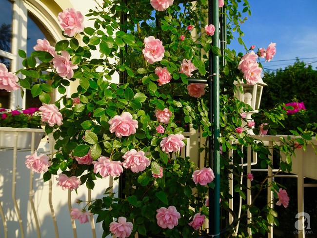 Những góc nhỏ ai ngắm cũng vấn vương.