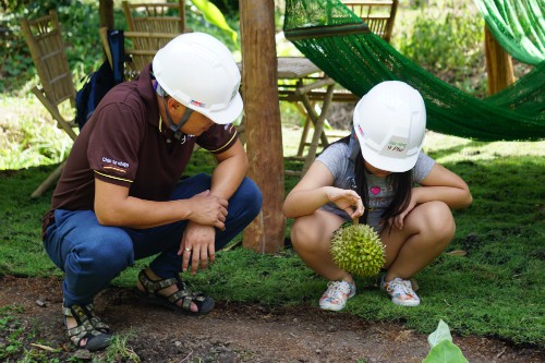 
Anh Trung đón một khách nhí đến thăm Sầu Cốc và nhặt sầu riêng rụng. Ảnh: Viễn Thông
