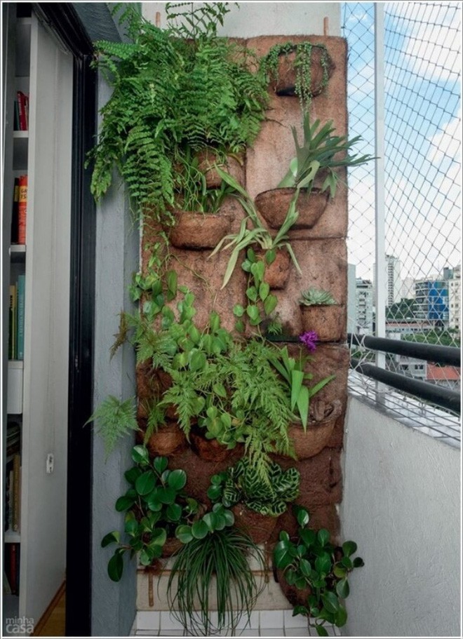 2. Ban công đẹp trong lành và bình yên khi bạn thiết kế bức tường bằng gỗ ép để trồng các loại cây leo dễ sống.