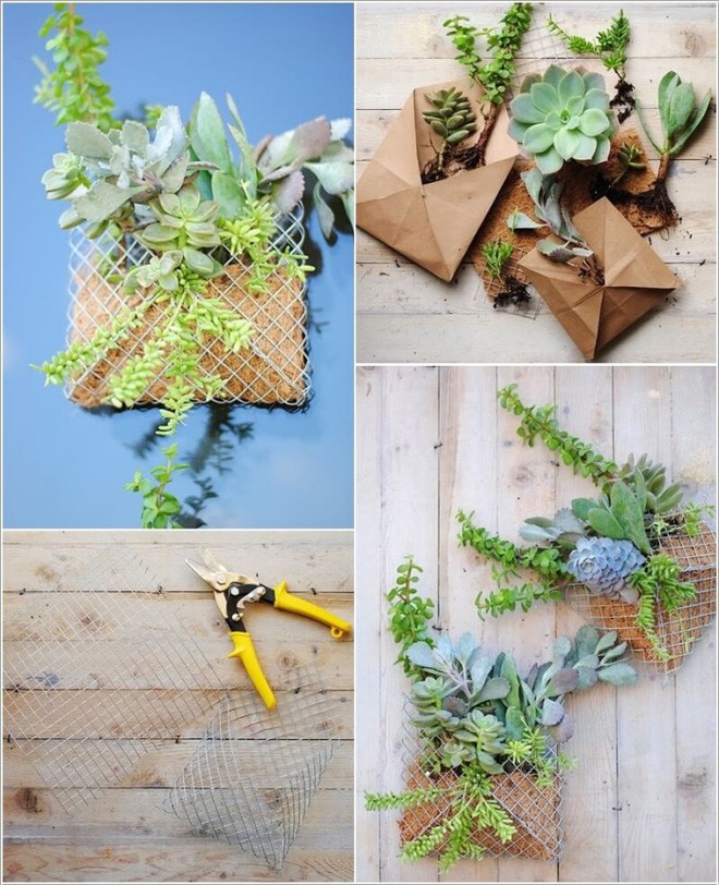 12. Dùng ô thép lưới tạo hình phong bì, bỏ đất vào bên trong để trồng những cây dễ sống cũng là ý tưởng vô cùng độc đáo và thú vị.