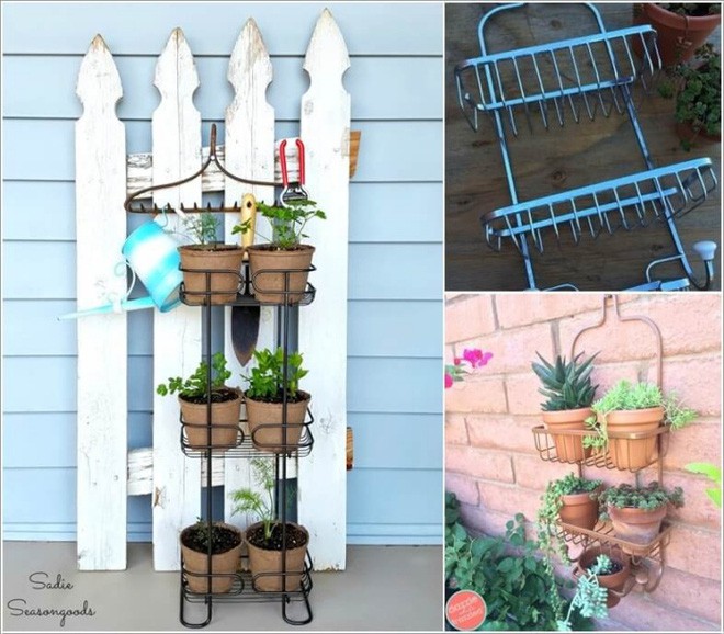 4. Tận dụng giá treo kim loại cũ kỹ và đóng chúng cố định lên bức tường mà bạn yêu thích để bắt đầu tạo một góc xanh tươi, đẹp mắt cho ngôi nhà của bạn.
