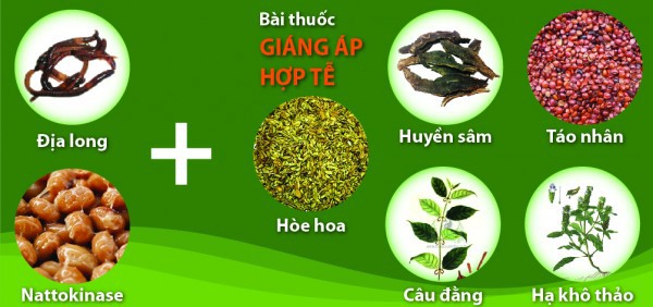 Giải pháp hạ và ổn định huyết áp, phòng ngừa đột quỵ