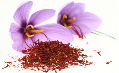 Đông trùng hạ thảo đắt nhất có thể lên tới vài tỷ đồng một kg.
