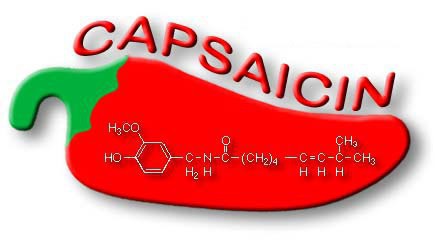 
Ớt chưa chất cay capsaicin
