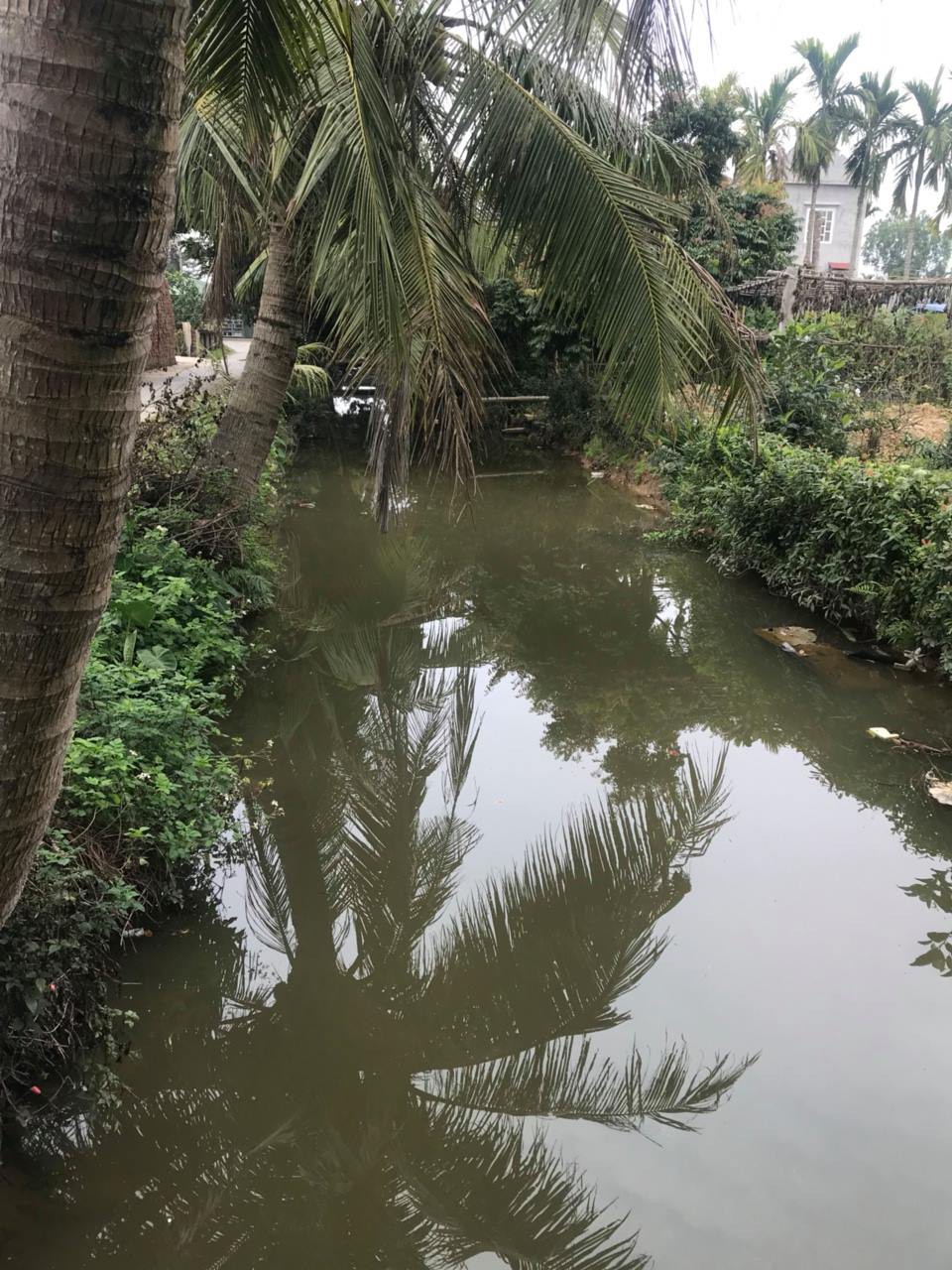 Mương sâu của thôn, nơi thi thể 2 học sinh được tìm thấy. Ảnh: CTV